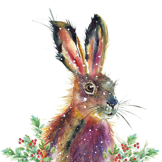 Fluffy Hare - Christmas -  Cards - Pack of 10 - New this Christmas 2023