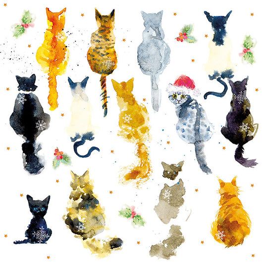 One Christmas Cat - Christmas -  Cards - Pack of 10 - New this Christmas 2023